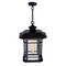 Cwi Lighting Blackburn 1 Light Outdoor Black Pendant 0411P9-1-101 - alternate 2